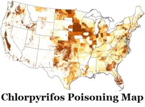 Why is Chlorpyrifos Pesticide not Banned?